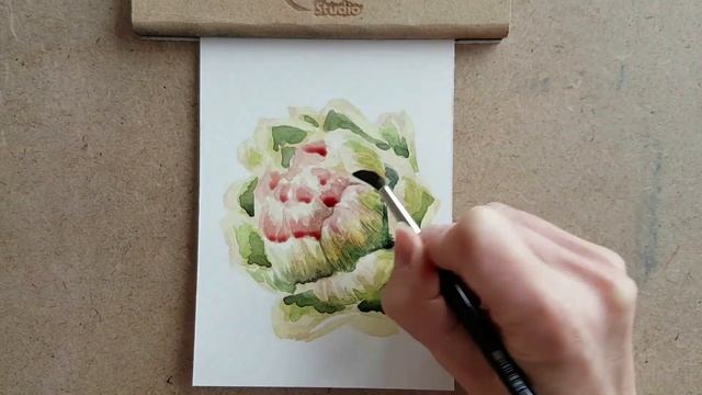Живопись акварелью | Artichoke watercolor painting | Акварель