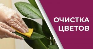 Способы очистки искусственных цветов