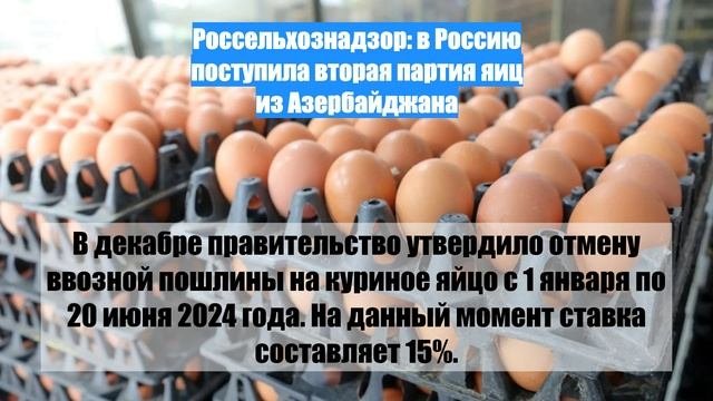 Россельхознадзор: в Россию поступила вторая партия яиц из Азербайджана