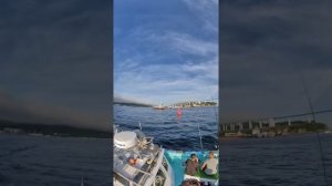 Катер Дружный на кальмар 2020