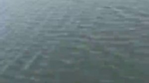 Тестирование лодки Адмирал боат 375 с подвесным мотором Sea Pro 5 л с