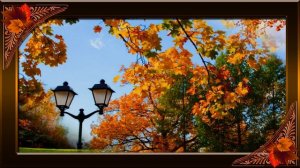 Мой верный, единственный друг