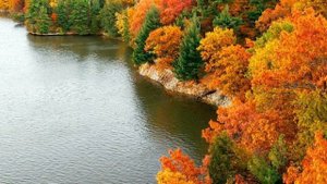 Золотая Осень - Сергей Дубровин .