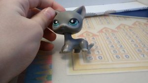 новые кошки стоячки покупала на Авито за 1000р серый кот с серым магнитом черная оригинал. Они 2006