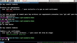 01 - ¿Qué es y para qué sirve git? (Version Control System - VCS) [V393a]