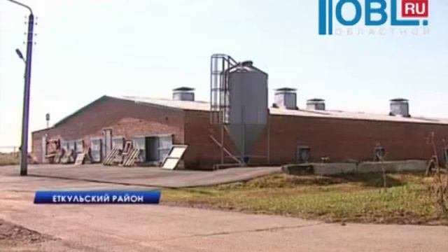 На Бектышской птицефабрике готовят курицу по итальянским рецептам