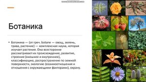 6 класс Биология — наука о живой природе Особь и вид Царства организмов Ботаника Значение растений