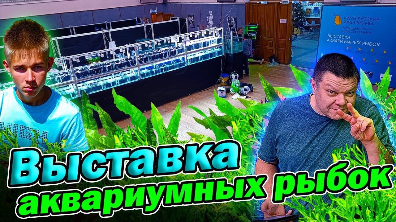 Выставка аквариумных рыбок 2024! Подготовка! Скоро открытие!