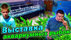 Выставка аквариумных рыбок 2024! Подготовка! Скоро открытие!