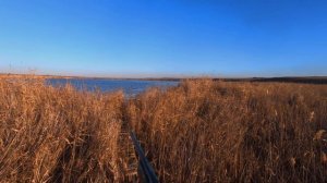 Крым,хорошая охота на утку с подхода