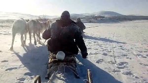 Оленья упряжка