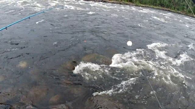 РЫБА РВАЛА ЛЕСКУ И ЛОМАЛА УДОЧКИ! МЫ ЛОВИЛИ ЕЁ МЕШКАМИ! РЮКЗАКИ РВАЛИСЬ! (РЫБАЛКА НА СЕВЕРЕ часть 4 смотреть онлайн