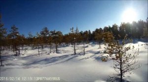 Весеннее настроение