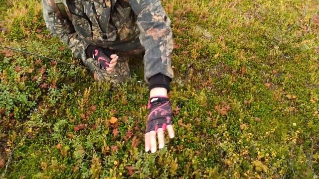 ИСКАЛИ ЩУКУ, А НАШЛИ КУМЖУ. НЕМНОГО ЗАПЛУТАЛИ В ПУТИ. //We were looking for a pike and found a trou смотреть онлайн