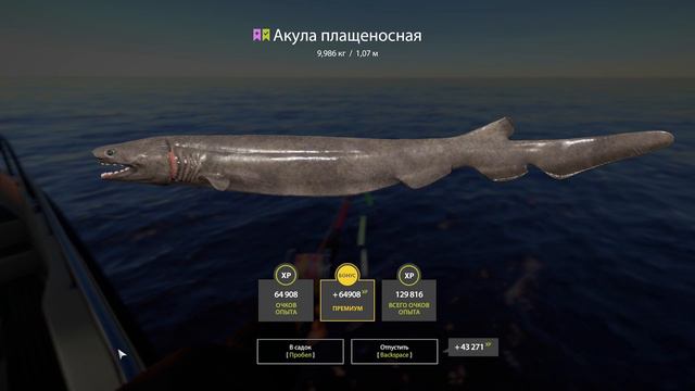 Русская рыбалка 4 Акула плащеносная Мольва голубая трофей смотреть онлайн