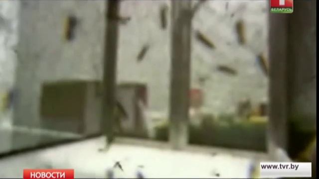 Разгадать тайну вируса Зика смотреть онлайн