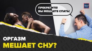 Любовные игрища, лай собак – шум, который мешает спать | Как бороться | Актуальный репортаж