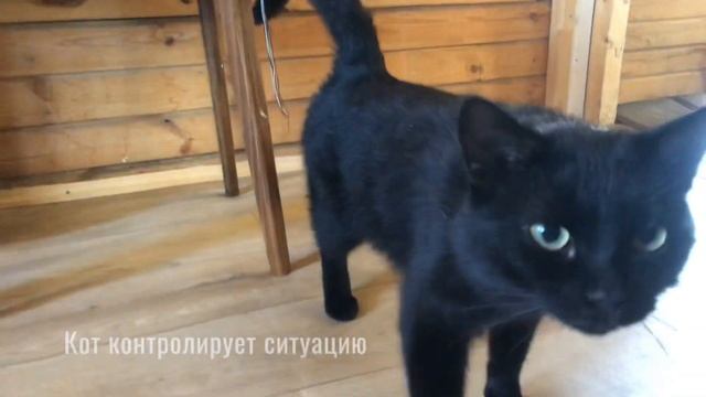 Как делают замеры дома в СНТ (дачная амнистия) смотреть онлайн