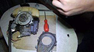 Не заводится китайская мотокоса что может быть