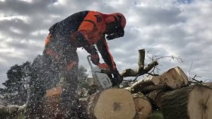 Stihl MS 260