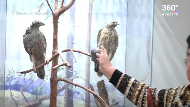 Зима в Подмосковье смотреть онлайн