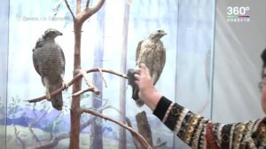 Зима в Подмосковье