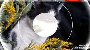 Это мой любимый канал он называется анука давайка