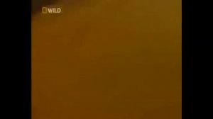 ?Тайны покорения Горы Эверест ?