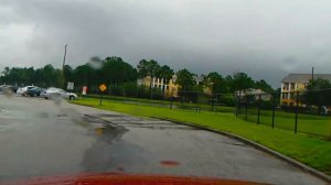 АМЕРИКА поехали в СОБАЧИЙ ПРИЮТ - Собаки на УСЫНОВЛЕНИЕ без СЛЁЗ