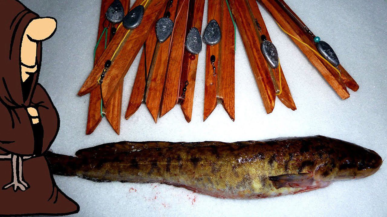 Налимы и раки на самодельные донки, зимняя рыбалка на Налима на донки смотреть онлайн