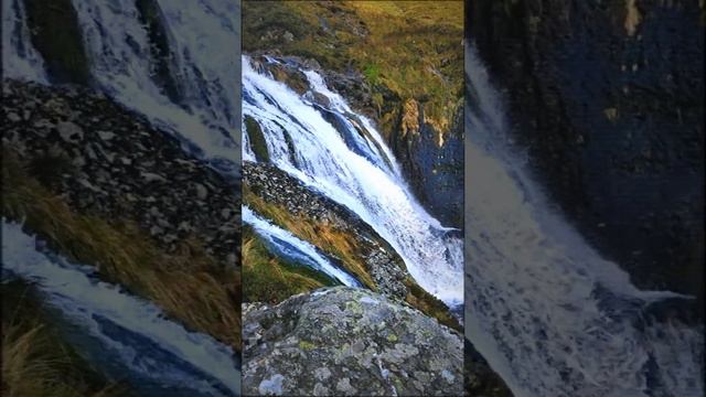 Rammstein - Mutter Violin Variations