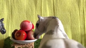 Проект 2022 Сериал "Отражение" / 4 серия