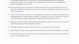 Полынь Стеллера, посадка и уход