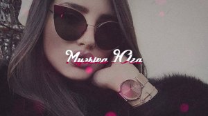 Алина Мусиева - Дикая роза | Музыка Юга