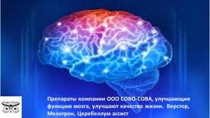 ПДК СОВО-СОВА Церебеллум Ассист, Верстор, Мелатрон. Улучшая функцию мозга, улучшаем качество жизни.
