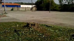 Эксперимент аккумуляторщика что будет если залить пень щелочью на котором росли ветки