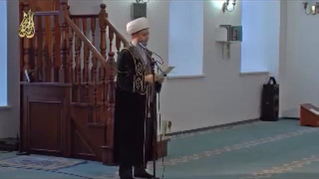 Как выбрать себе спутника жизни