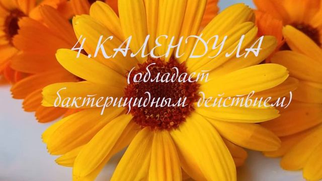 6 полезных добавок к чаю
