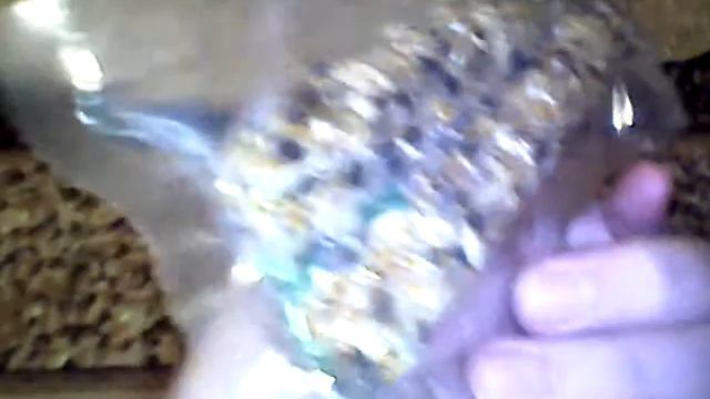 ♥Покупки из ЗООМАГАЗИНА/Крутые покупочки!)♥