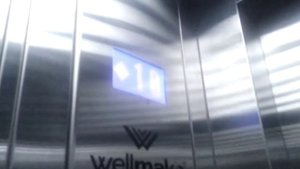 Лифт Wellmaks 2014 г. || Ивлиева 36к2 п2