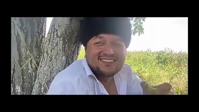 Sayfulloni izlab смотреть онлайн