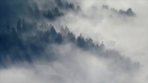 Охотник из Сосновки /Страшные истории про нечисть/ Деревенские страшилки.