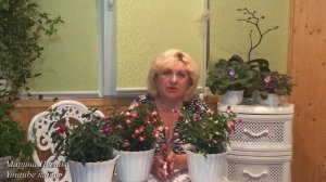 Фуксия - балерина вашего сада .