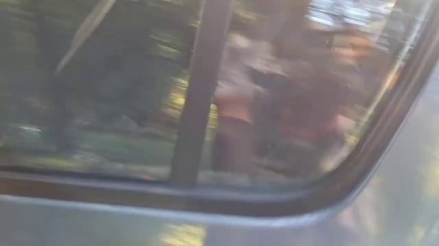 Dacia Sandero 2008 год, 1,4 бензин, кондиционер. Из Голландии #народныеавтомобили #dacia #sandero смотреть онлайн