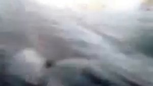 лодка Аква 2900 и мотор HDX 5 л. с. глиссер