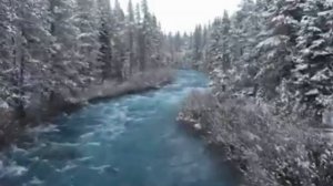 Мне нравится / На стихи Софии Парнок, муз. и исп.- Елена Подус