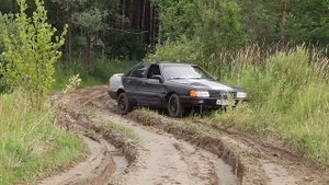 Дорога к Шишовскому озеру Сосновский район Нижегородская область