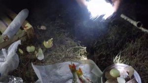 Окунь в фольге на углях вкусно