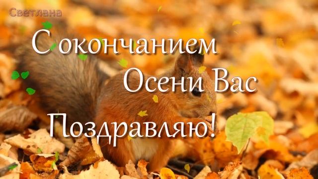 Прощай, Ноябрь! Последние дни осени. С Добрым Утром! Красивая музыкальная открытка.