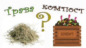 Что делать со скошенной травой на участке? Ответ: в компост!